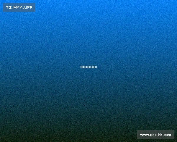 排球比赛都有哪些种类？